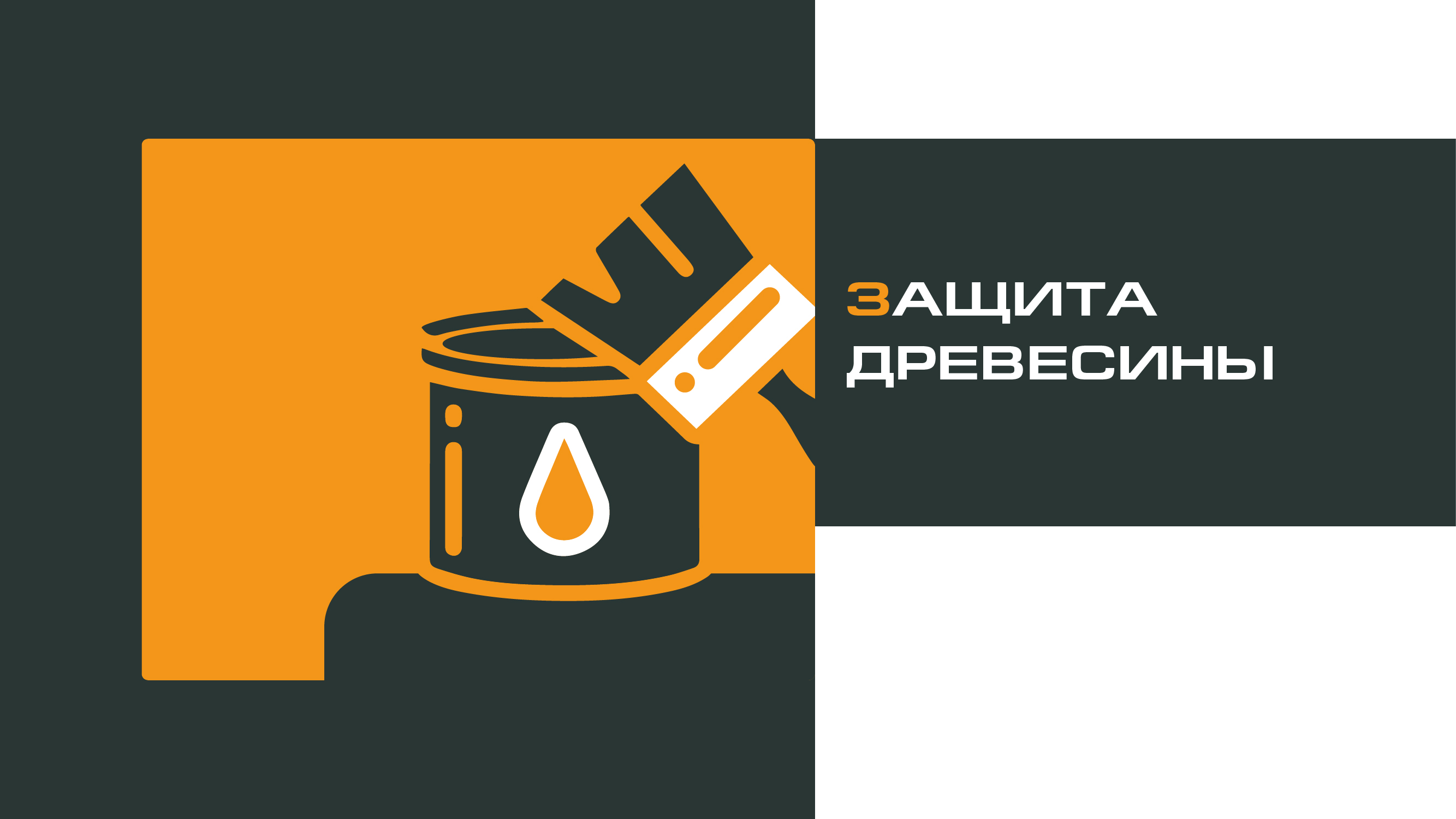 ЗАЩИТА ДРЕВЕСИНЫ